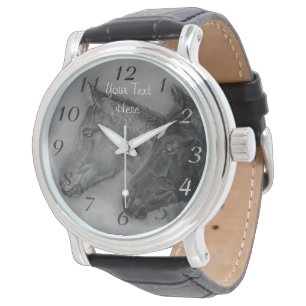 Montre poulain noir poulain deux bébés chevaux