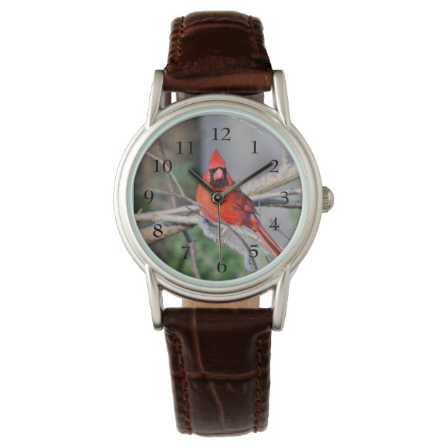 Cardinal montre discount