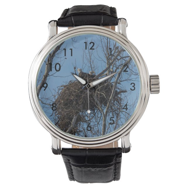 Montre Problème de double aigle (devant)