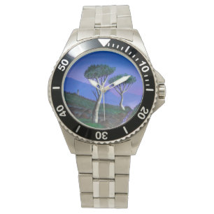 Montre Proche de la DMZ Corée du Sud