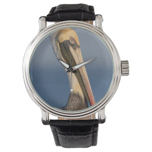 Montre Profil de pélican