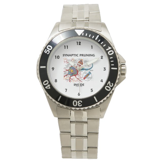 Montre Pronciation synaptique à l'intérieur du neurone Sy (devant)