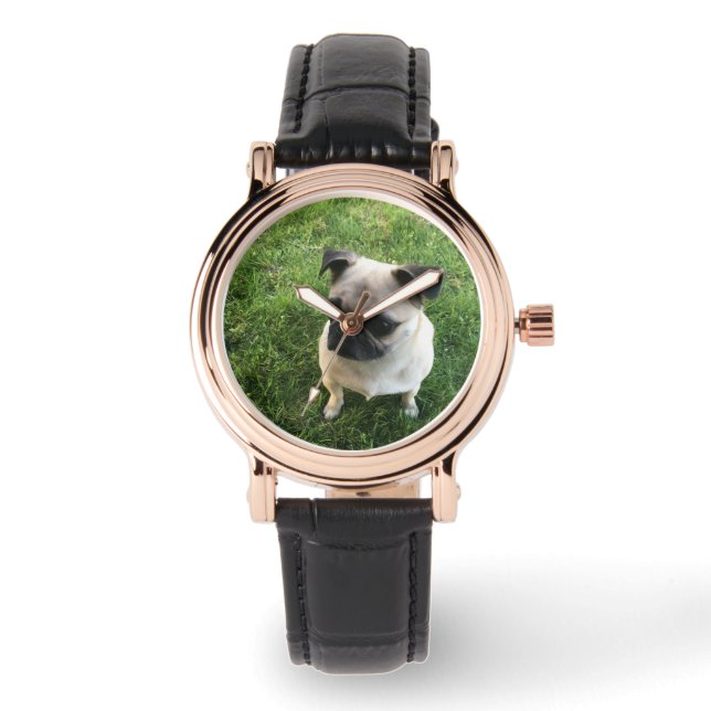 Montre Pug Pup (Recto)