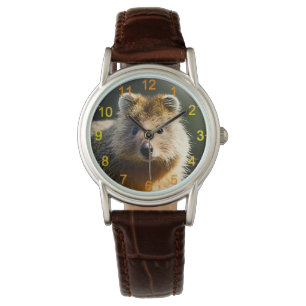Montre Quintin The Ginger Quokka, Wrist Watch