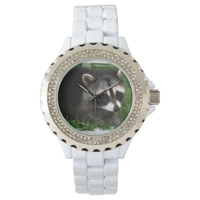 Montre Raccoon (devant)