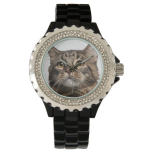 Montre Ragondin du Maine (8 mois)