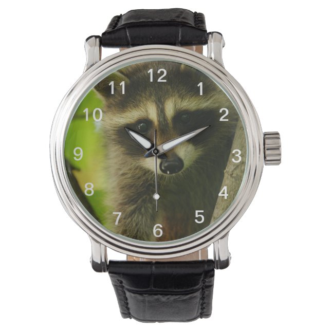 Montre raton laveur (devant)