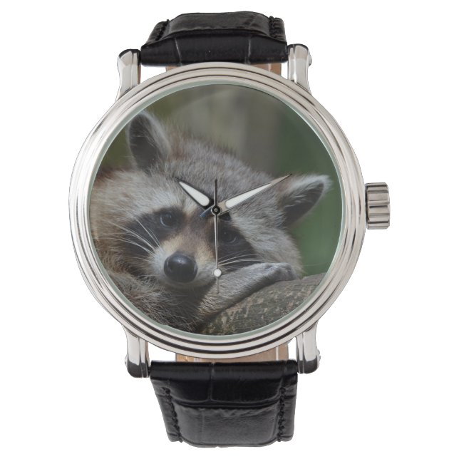 Montre Raton laveur (devant)