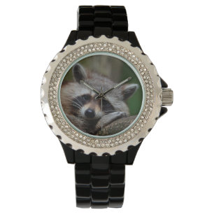 Montre Raton laveur indigne mignon de bébé