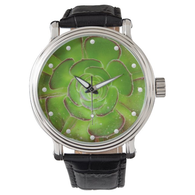 Montre Rayonnant succulent image extraordinaire brillant  (devant)