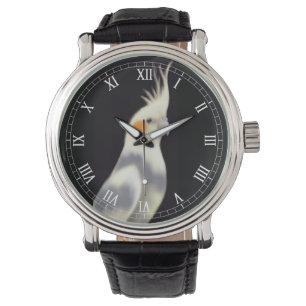 Montre Regarder Cockatiel Coincé Amical