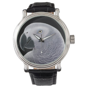 Montre Regarder le perroquet gris africain