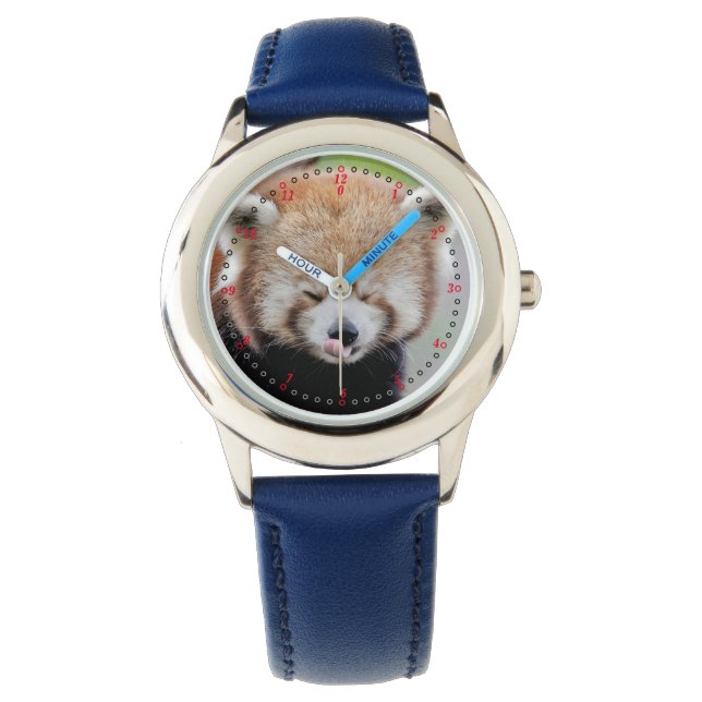 Montre Regardez la photo panda rouge. Panda roux. (devant)