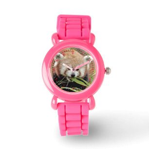 Montre Regardez la photo panda rouge. Panda roux.