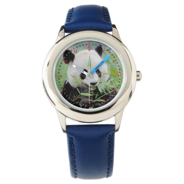 Montre Regardez le panda géant. Panda. (devant)