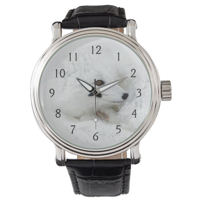 Montre Renard arctique recouvert en hiver (devant)