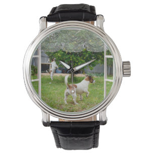 Montre Renard Terriers À La Découverte Du Jardin,