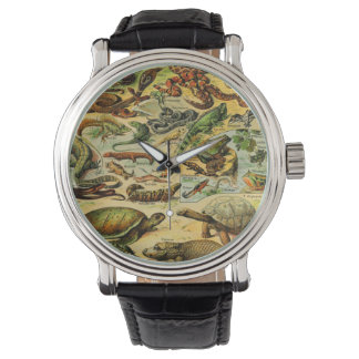 MONTRE REPTILES