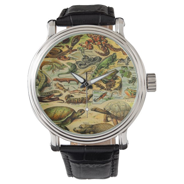 MONTRE REPTILES (devant)