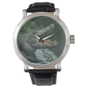 Montre Reptiles de crocodile vintage, Vie animale marine