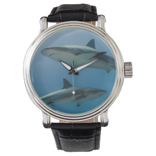Montre Requin des Caraïbes