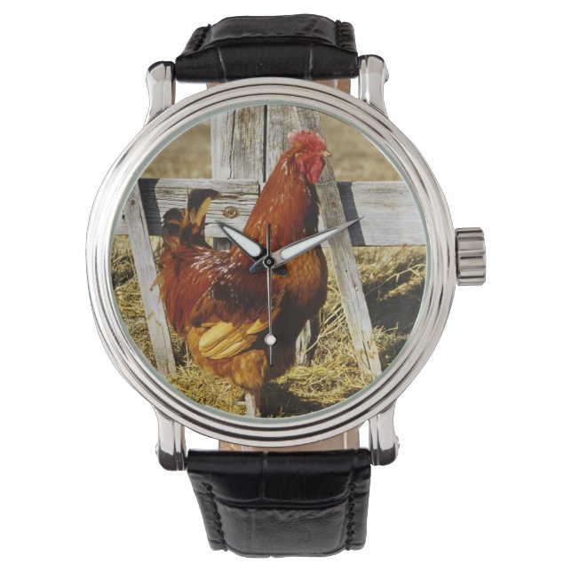 Montre Rhode Island Red Rooster (devant)