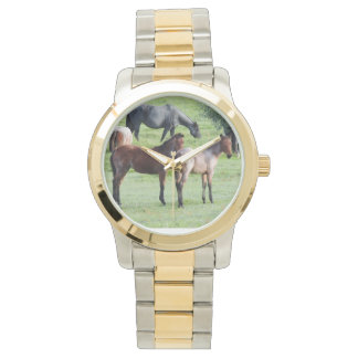 Montre Roan Foals Watch