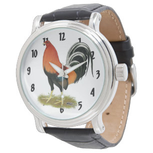 Montre Roster de Gamecock Wheaten