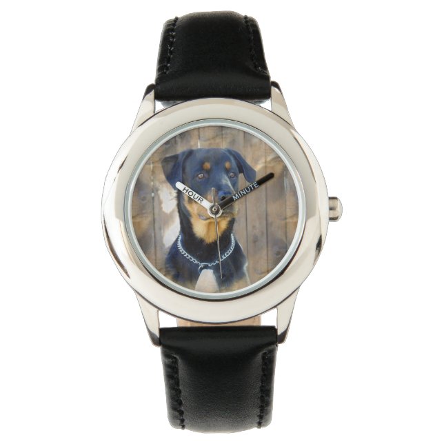 Montre Rottweiler (devant)