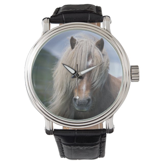 Montre Royaume-Uni, Ecosse, Shetland Islands, Shetland po (devant)