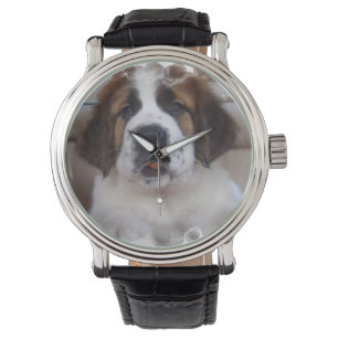 Montre Saint-Bernard