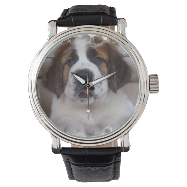 Montre Saint-Bernard (devant)