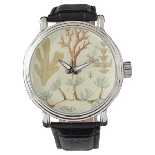 Montre Science Textbook Biologie, Corail Vintage Animaux