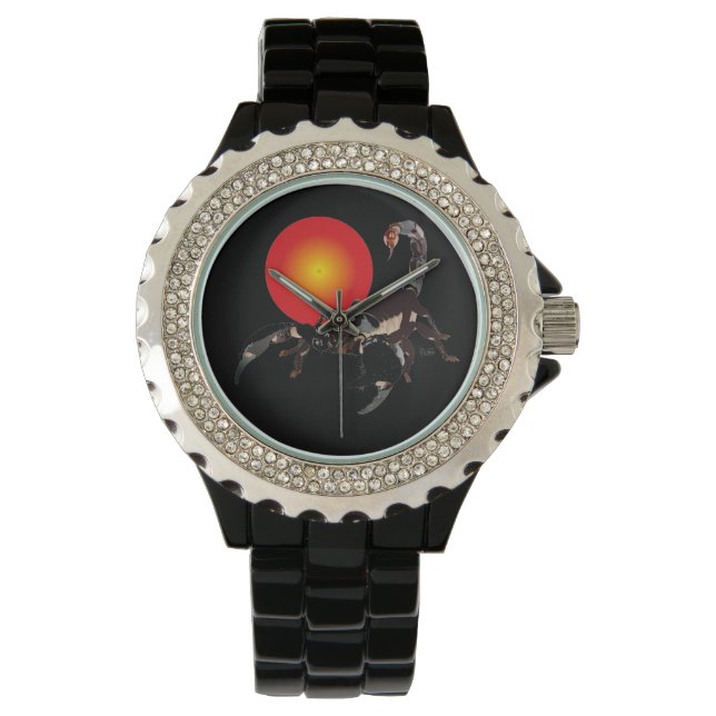 Montre Scorpion 24 octobre au 22 novembre (devant)