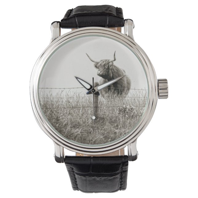 Montre Scottish cow photograph (devant)