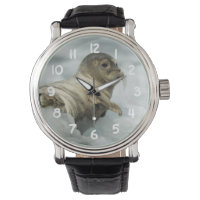Seal bébé doux