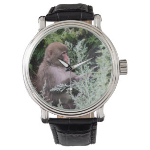 Montre Sélection quotidienne de singe