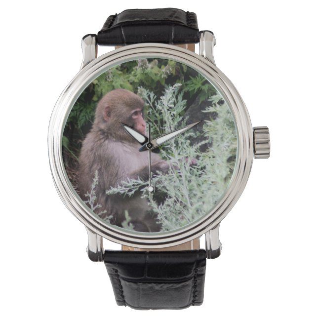 Montre Sélection quotidienne de singe (devant)