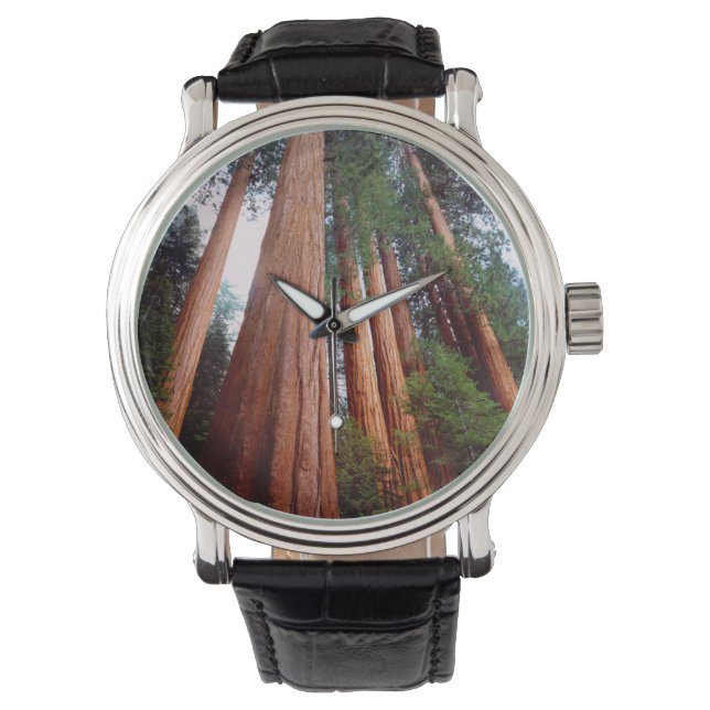 Montre Séquoia séquoia (devant)