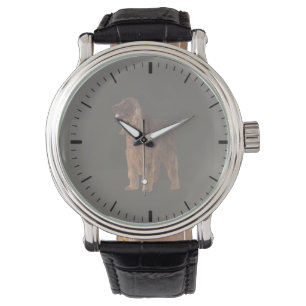 Montre Setter irlandais