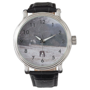 Montre Seul Dans La Neige