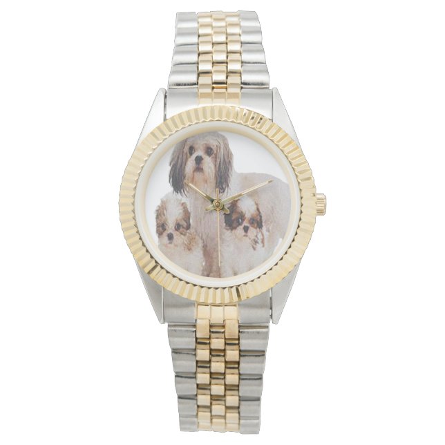 Montre Shih-tsu (devant)