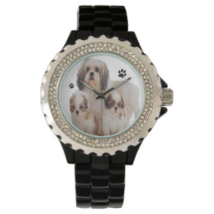 Montre Shih-tsu