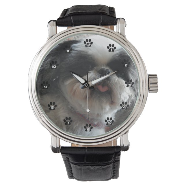 Montre ShihTzu (devant)