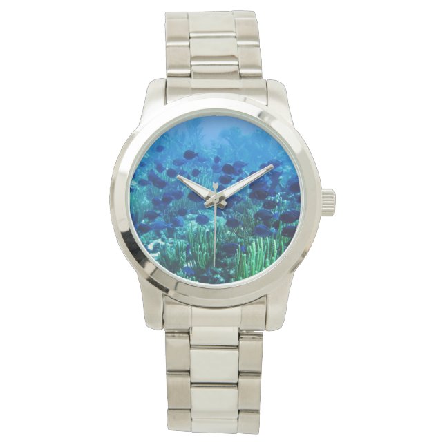 Montre Shoal of Blue Discus Fish Underwater (devant)
