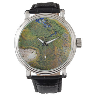 Montre Simpsons Desert