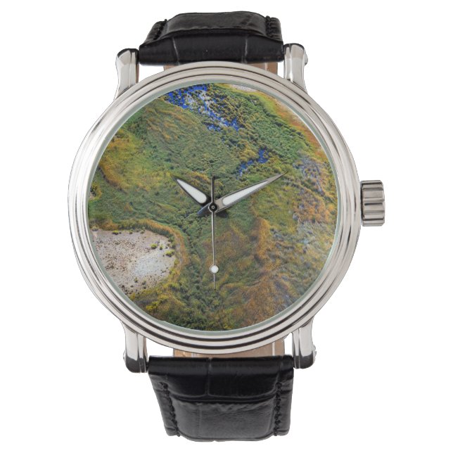 Montre Simpsons Desert (devant)