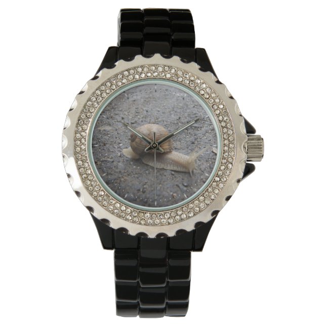 Montre Snail (devant)