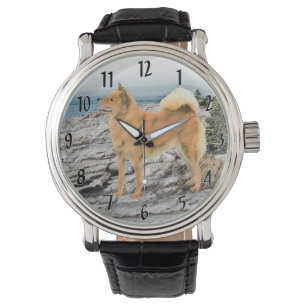 Montre Spitz finlandais à Seashore Peinture - Chien Art