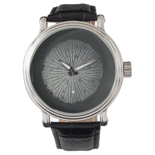 Montre spore de champignons